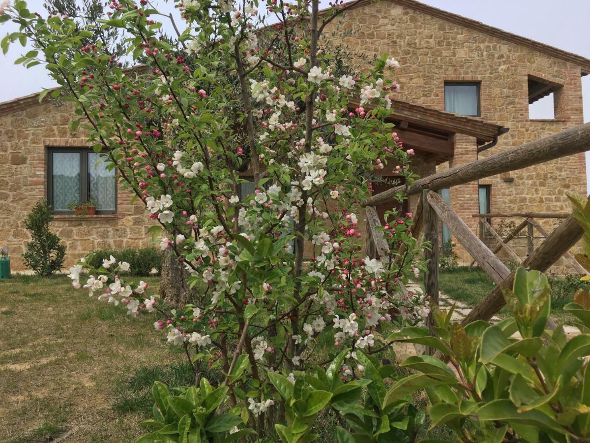 Residenza Al Poggio Degli Ulivi Villa Montepulciano Stazione Eksteriør bilde